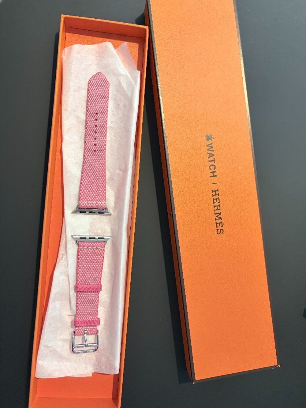 Hermes | Apple Single Tour Toile H Smart Watch Strap